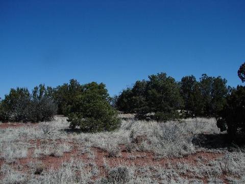 4591 E Ashing Rd, Valle, AZ 86046 photo 2