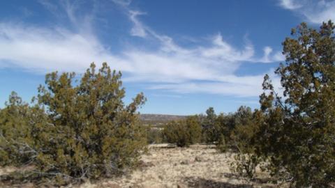 592 E Jackpine Ln, Williams, AZ 86046 photo 8
