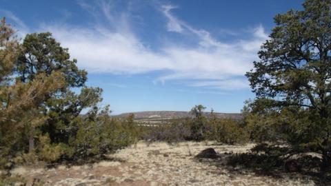 592 E Jackpine Ln, Williams, AZ 86046 photo 1