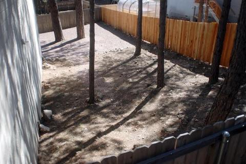 11 E Judy St, Flagstaff, AZ 86001 photo 49