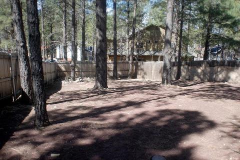 11 E Judy St, Flagstaff, AZ 86001 photo 51