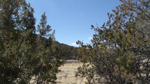 10529 Mesa View Rd, Williams, AZ 86046 photo 4