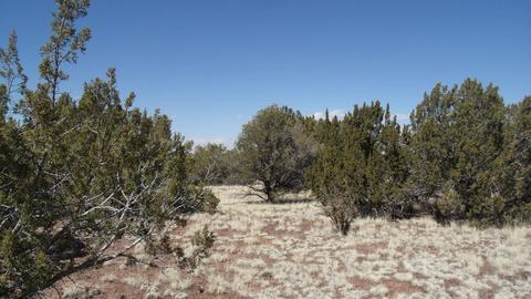 10529 Mesa View Rd, Williams, AZ 86046 photo 5