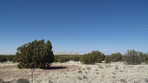 10529 Mesa View Rd, Williams, AZ 86046 photo 9