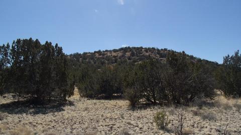 10529 Mesa View Rd, Williams, AZ 86046 photo 2