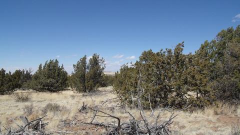 10529 Mesa View Rd, Williams, AZ 86046 photo 3