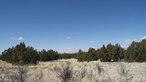 10529 Mesa View Rd, Williams, AZ 86046 photo 7