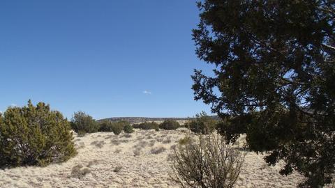 10529 Mesa View Rd, Williams, AZ 86046 photo 10