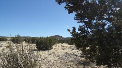 10529 Mesa View Rd, Williams, AZ 86046 photo 11