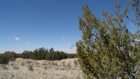 10529 Mesa View Rd, Williams, AZ 86046 photo 6