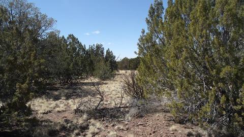 10529 Mesa View Rd, Williams, AZ 86046 photo 1