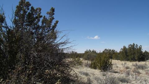 10529 Mesa View Rd, Williams, AZ 86046 photo 8