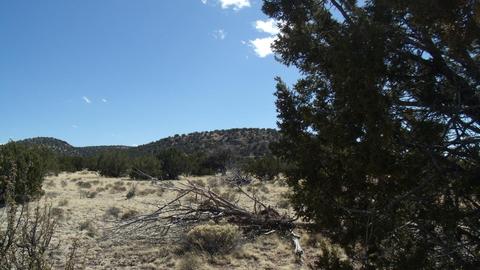 10529 Mesa View Rd, Williams, AZ 86046 photo 12
