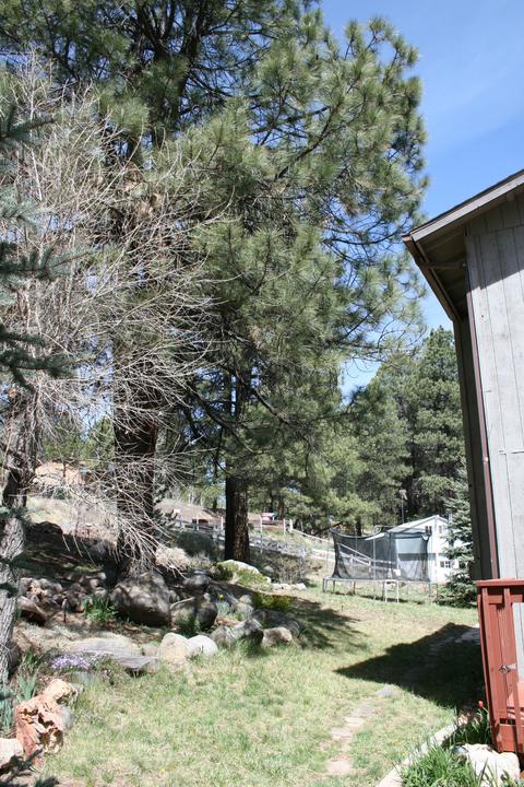 4603 Canyon Loop, Flagstaff, AZ 86005 photo 46