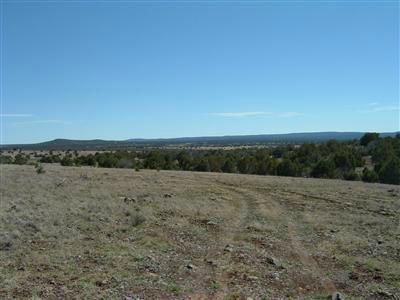 46585 N Cattle Dr, Ash Fork, AZ 86320 photo 1
