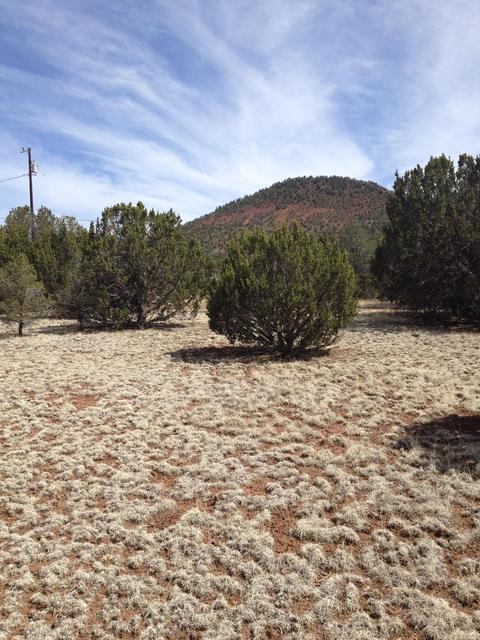 1065 E Galewood Dr, Williams, AZ 86046 photo 7