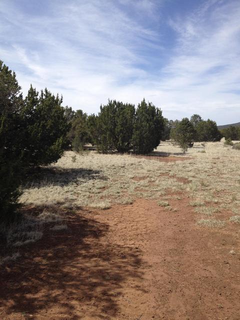 1065 E Galewood Dr, Williams, AZ 86046 photo 26