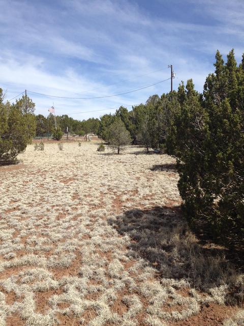 1065 E Galewood Dr, Williams, AZ 86046 photo 6