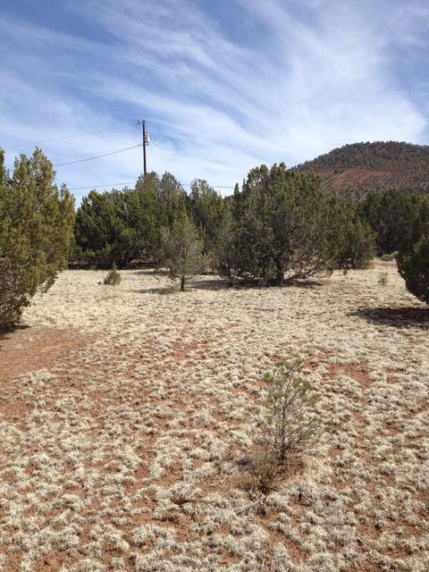 1065 E Galewood Dr, Williams, AZ 86046 photo 23