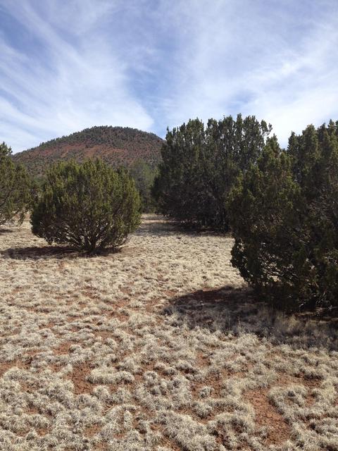 1065 E Galewood Dr, Williams, AZ 86046 photo 8