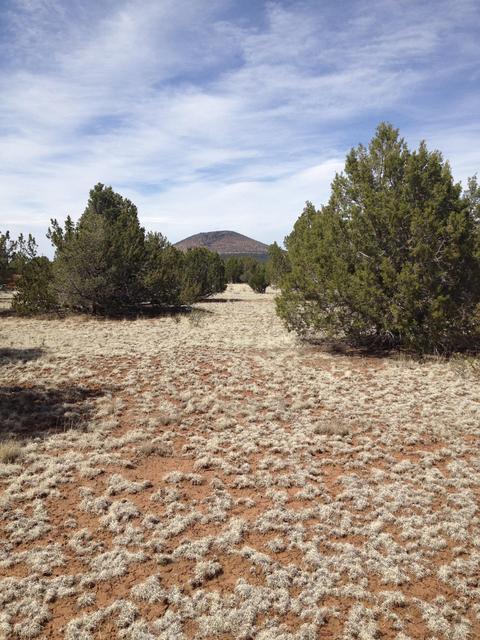 1065 E Galewood Dr, Williams, AZ 86046 photo 15