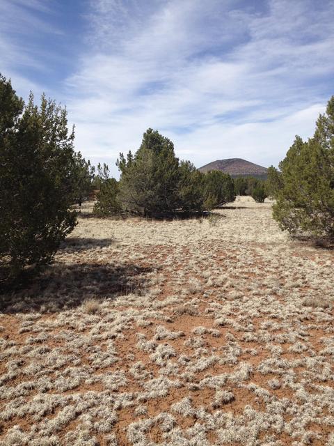 1065 E Galewood Dr, Williams, AZ 86046 photo 14