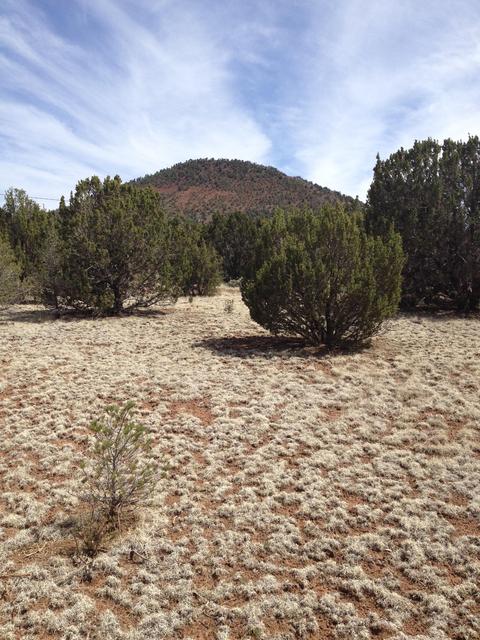 1065 E Galewood Dr, Williams, AZ 86046 photo 21