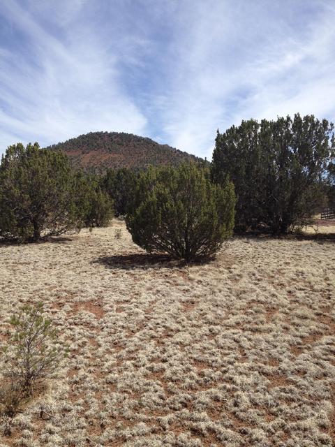 1065 E Galewood Dr, Williams, AZ 86046 photo 22