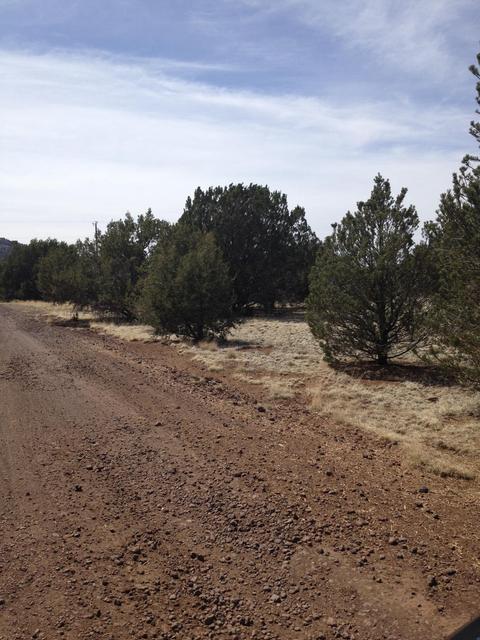 1065 E Galewood Dr, Williams, AZ 86046 photo 1