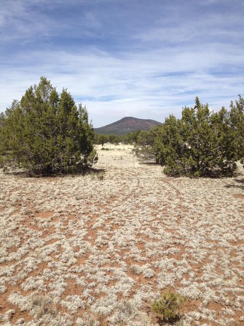 1065 E Galewood Dr, Williams, AZ 86046 photo 11