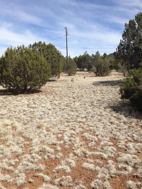 1065 E Galewood Dr, Williams, AZ 86046 photo 4