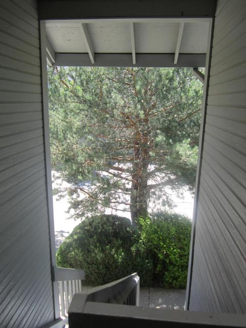 111 E Oak Ave #8, Flagstaff, AZ 86001 photo 11