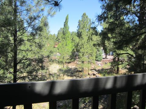111 E Oak Ave #8, Flagstaff, AZ 86001 photo 12
