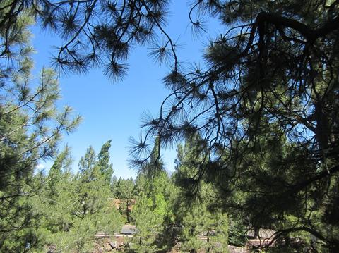 111 E Oak Ave #8, Flagstaff, AZ 86001 photo 14
