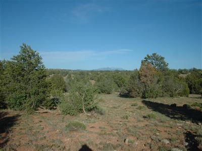 11823 S Pipecreek Loop E, Williams, AZ 86046 photo 2