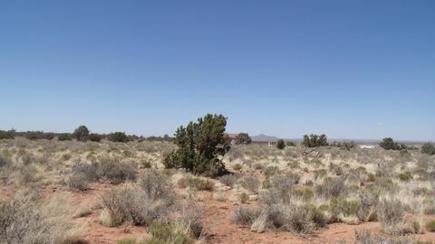 615 E Birch Rd, Valle, AZ 86046 photo 2