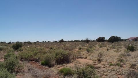 615 E Birch Rd, Valle, AZ 86046 photo 4