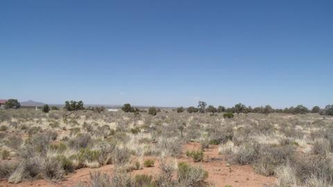 615 E Birch Rd, Valle, AZ 86046 photo 3