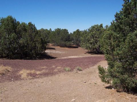 7133 N Apache Ave, Williams, AZ 86046 photo 9