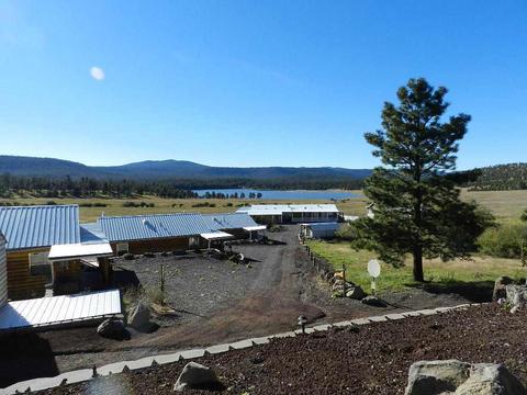 220 County Road 1126, Eagar, AZ 85925 photo 13