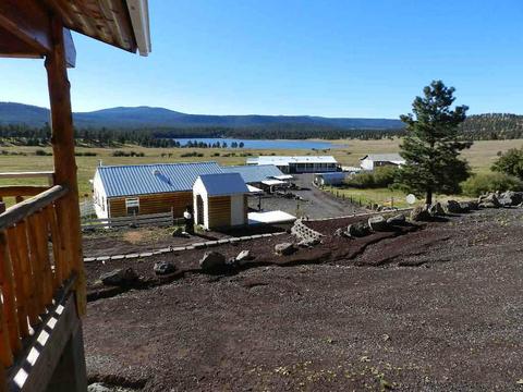 220 County Road 1126, Eagar, AZ 85925 photo 12