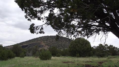 1174 E Sagebrush Rd, Williams, AZ 86046 photo 6
