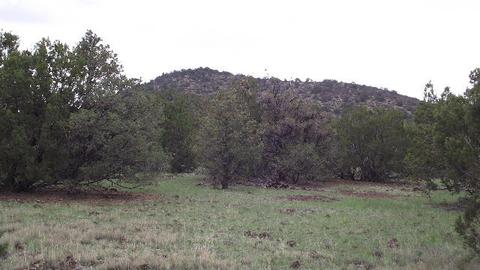 1174 E Sagebrush Rd, Williams, AZ 86046 photo 9