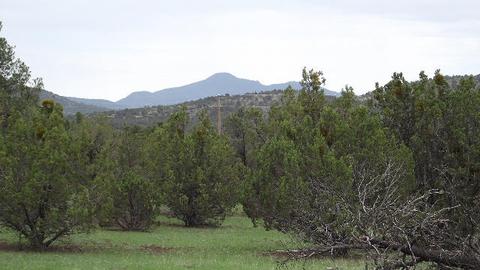 1174 E Sagebrush Rd, Williams, AZ 86046 photo 8