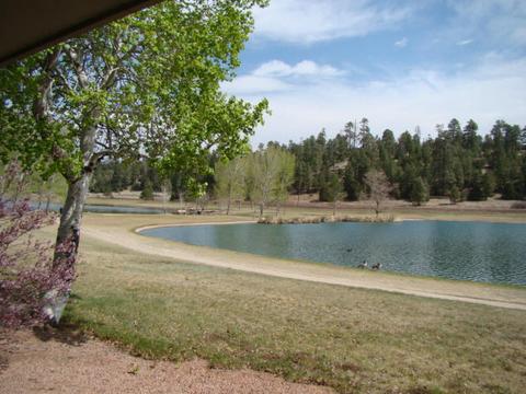 6326 E Willow Loop, Flagstaff, AZ 86004 photo 9