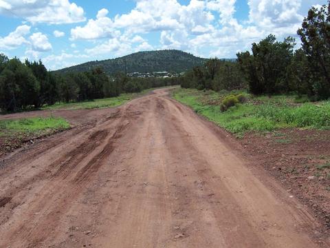 1533 E Barbara Rd, Williams, AZ 86046 photo 4