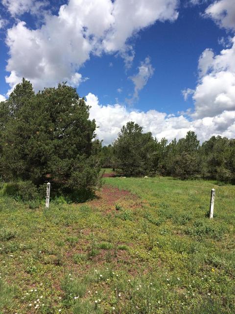 1271 E Alimos Way, Williams, AZ 86046 photo 1