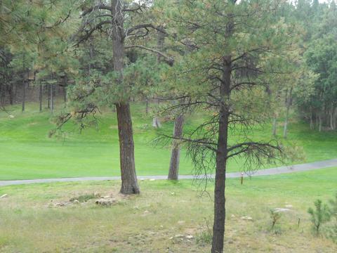 5221 E Hickory Dr, Flagstaff, AZ 86004 photo 21
