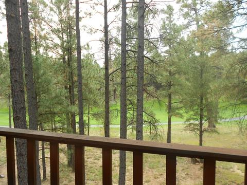 5221 E Hickory Dr, Flagstaff, AZ 86004 photo 20