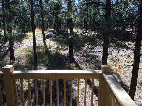 4197 S Pheasant Run Dr, Flagstaff, AZ 86001 photo 6